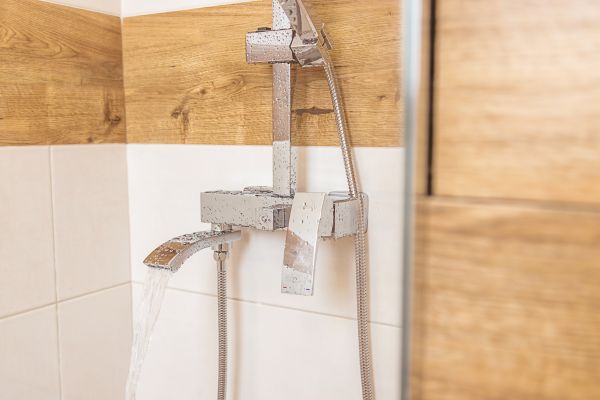Cost of Shower Plumbing Installation in Plant City